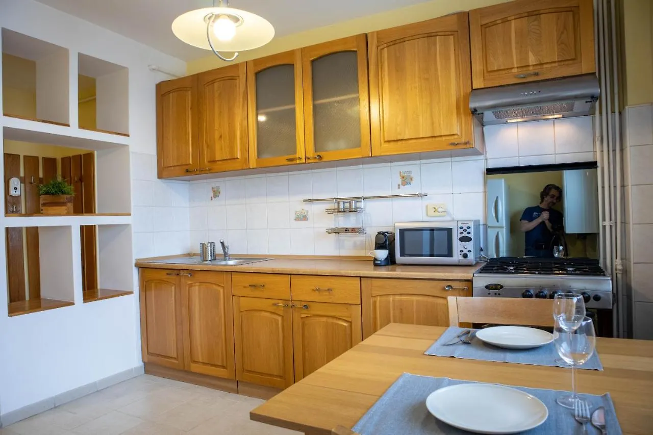 Oak Apartment - Piata Victoriei Bucharest