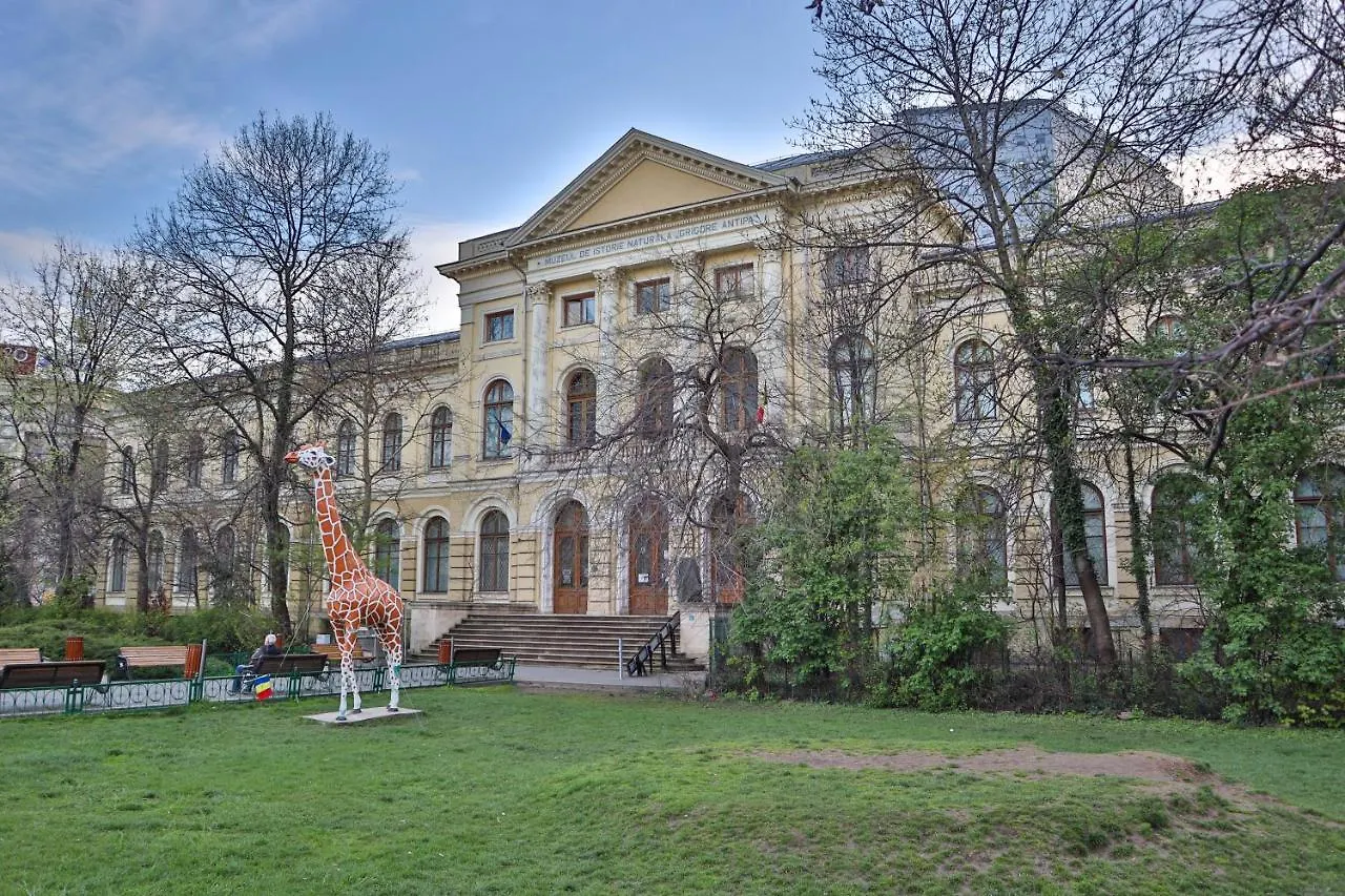 Oak Apartment - Piata Victoriei Bucharest Romania