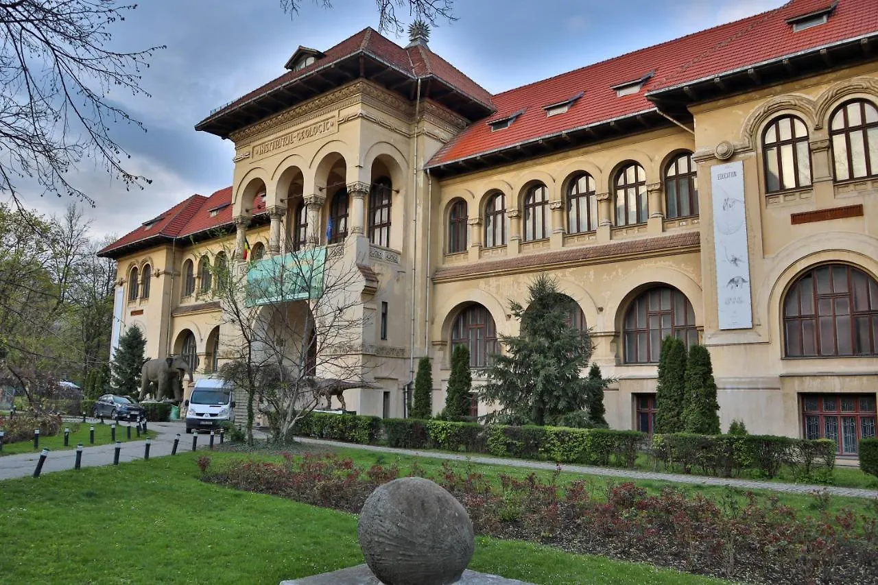 Oak Apartment - Piata Victoriei Bucharest